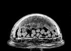 USA, Indiana, Carmel. Frozen soap bubbles on wine glass base. Art Print